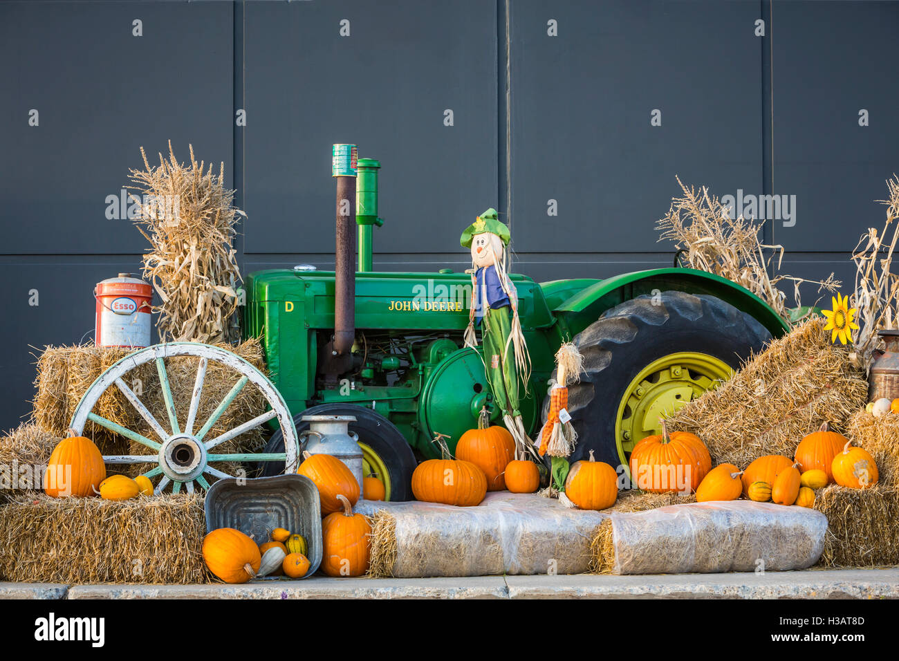 The Canadian tire store fall display in Winkler, Manitoba, Canada Stock