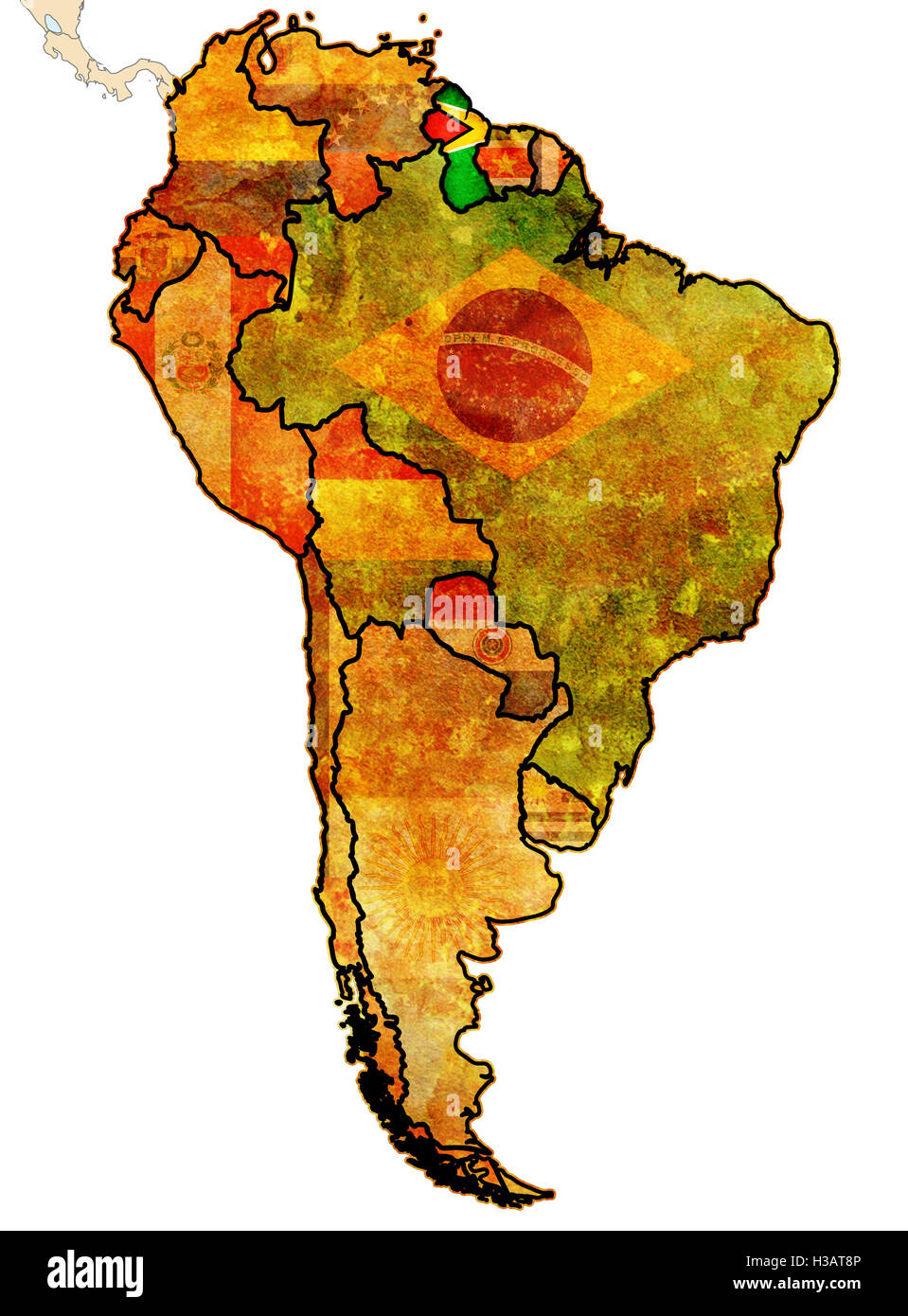 national flag of guyana in country territory with other countries flags