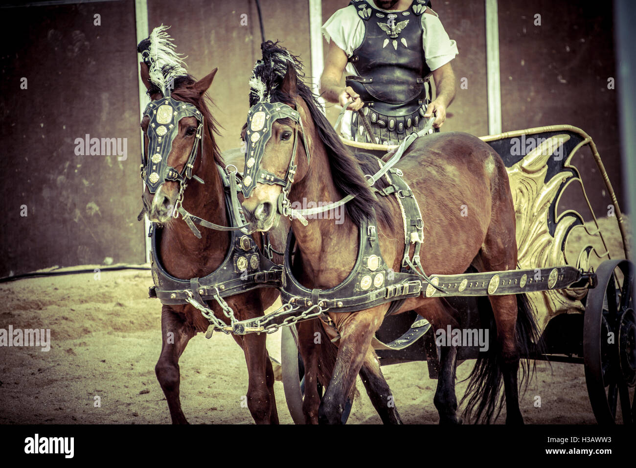 Roman gladiator chariots hi-res stock photography and images - Alamy