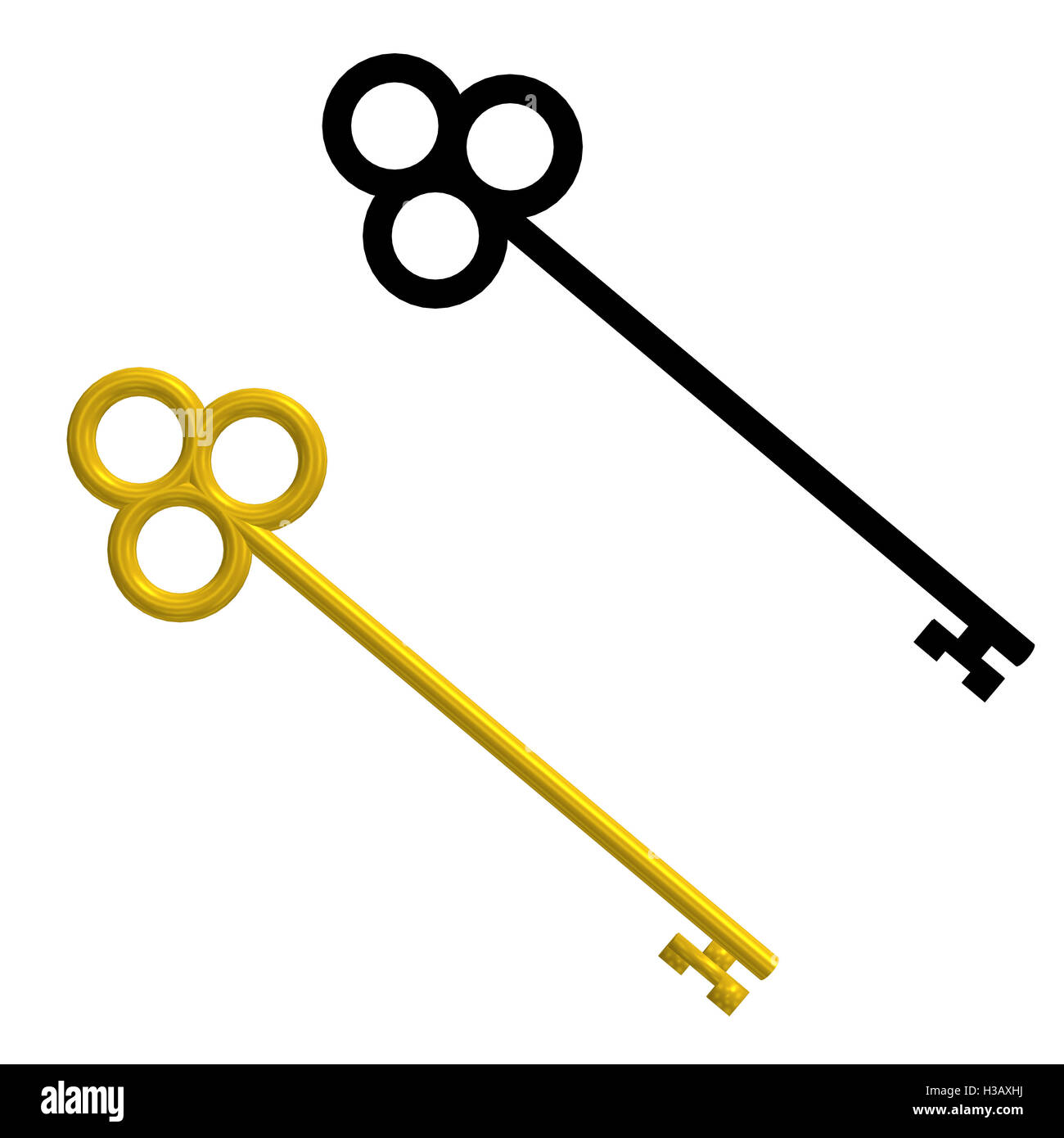 Gold Key And Black Silhouette Key Stock Photo Alamy