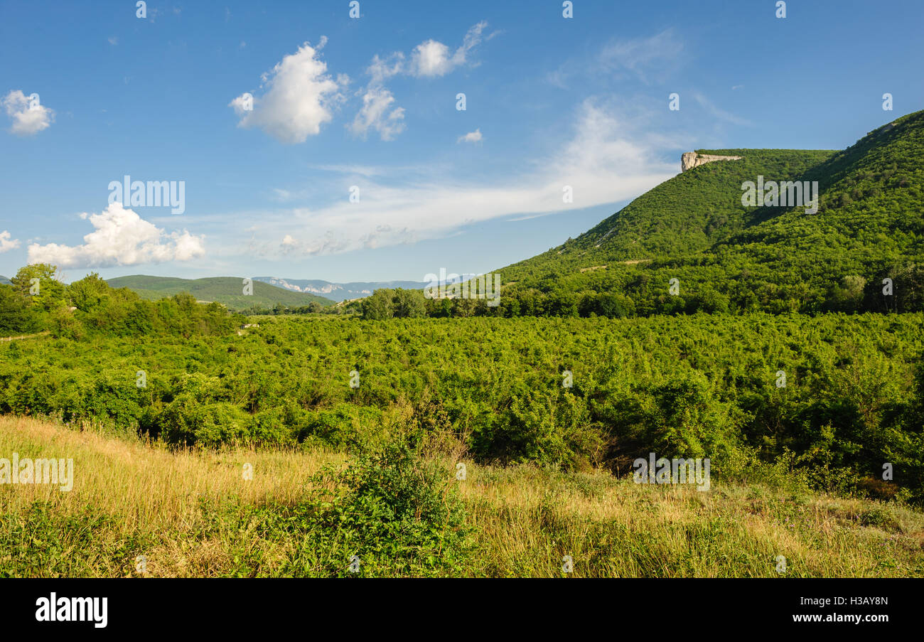 High mountain cliff in Crimea Stock Photo