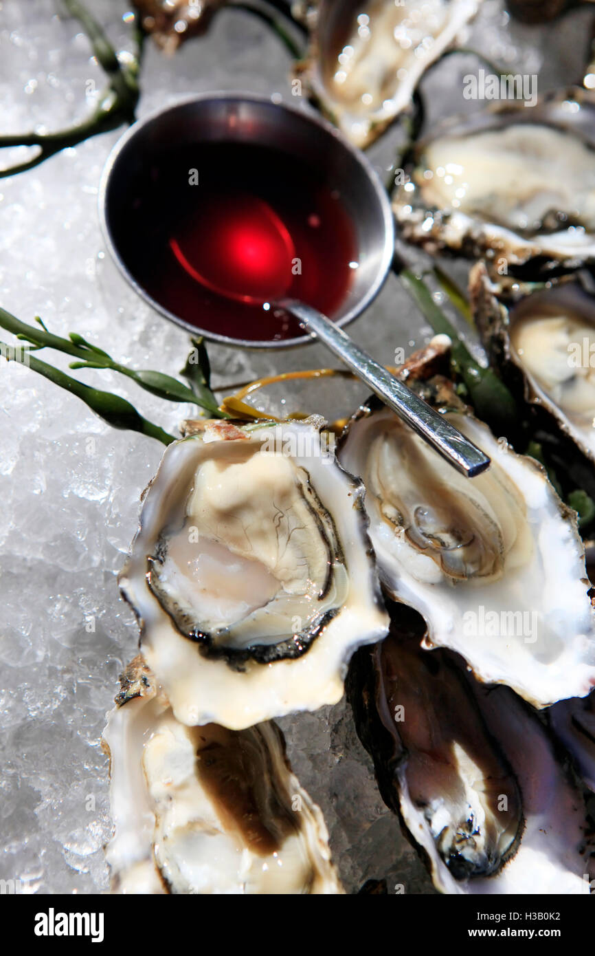 Opened oysters on ice Stock Photo Alamy