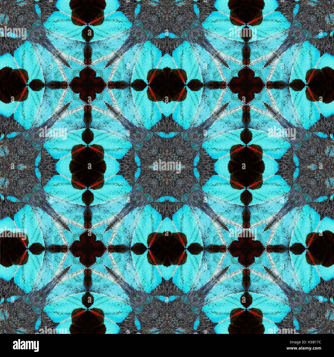 Wing pattern detail hi-res stock photography and images - Alamy