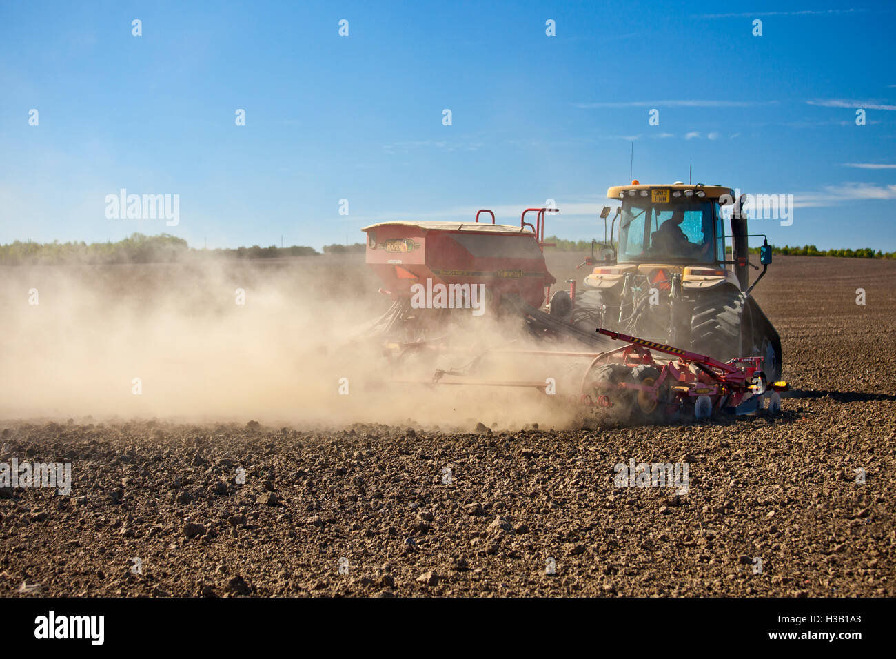 Tractor sowing seed. Stock Photo