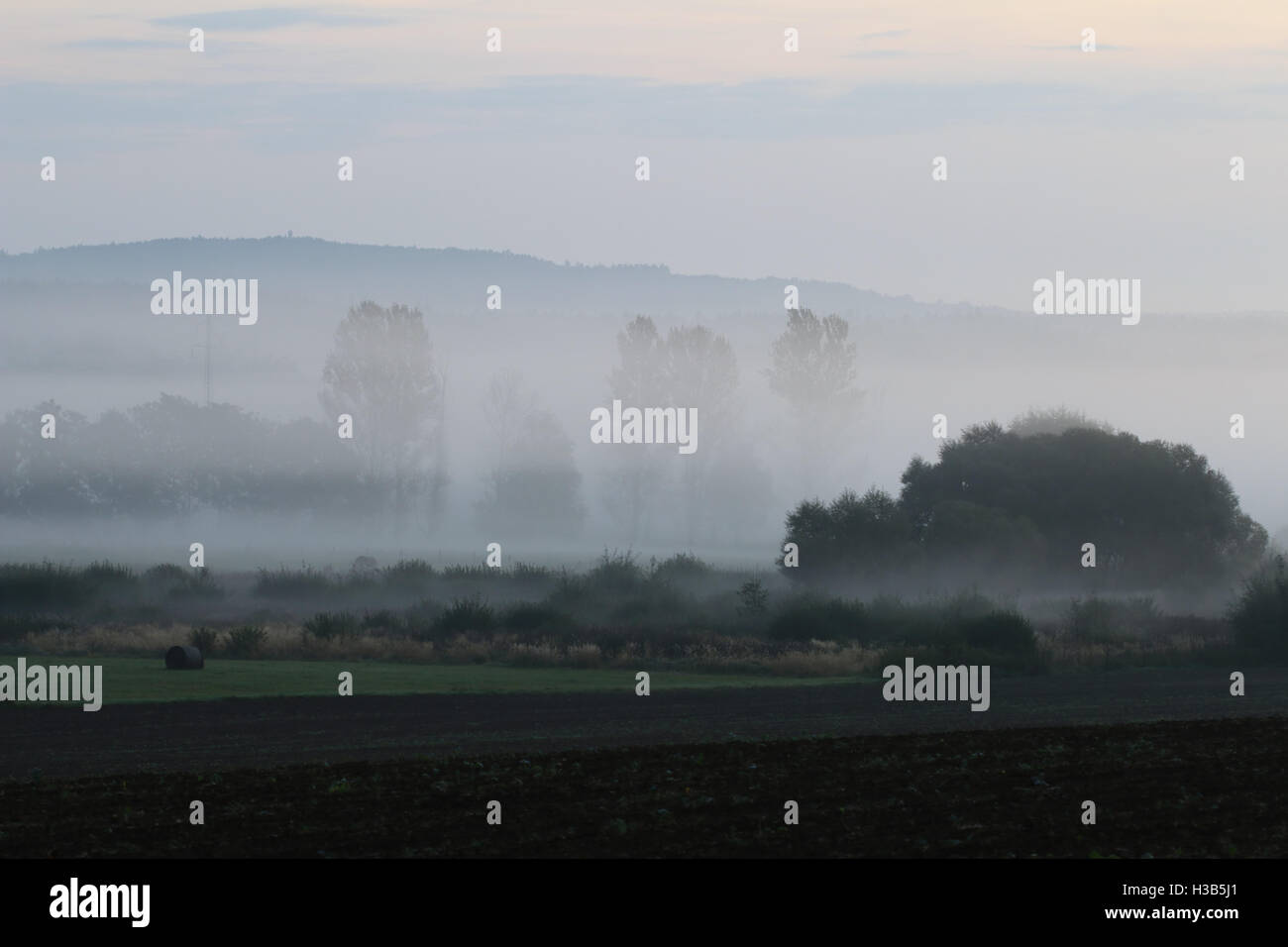 Rural landscape in the early morning fog Stock Photo