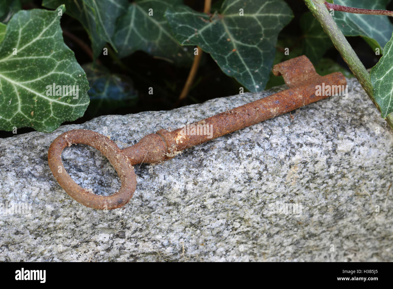 Lost old rusty key lying on the stone Stock Photo