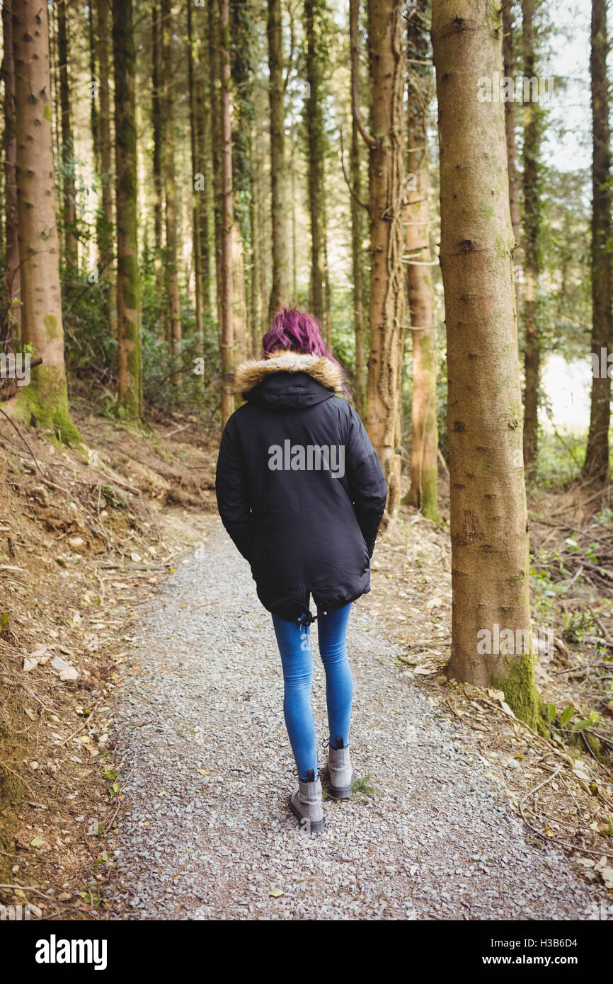 Woman walking in wood hi-res stock photography and images - Alamy
