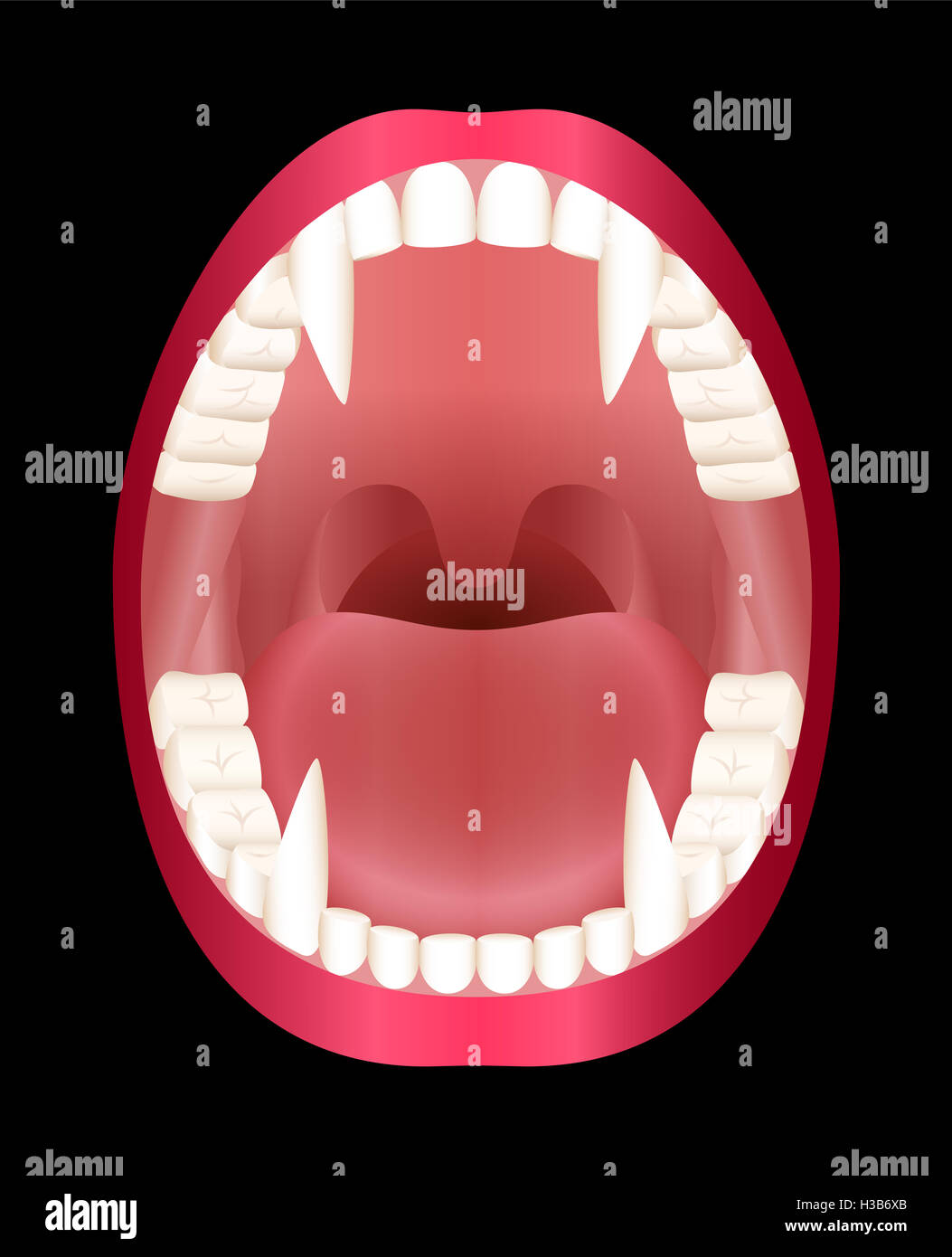Fangs - vamps open mouth - illustration on black background. Stock Photo