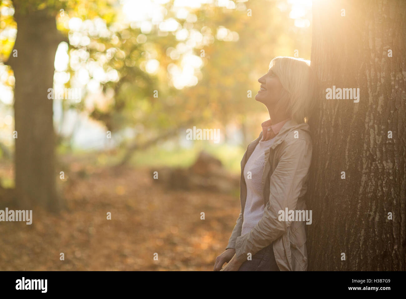 Mature woman leaning on tree in forest Stock Photo