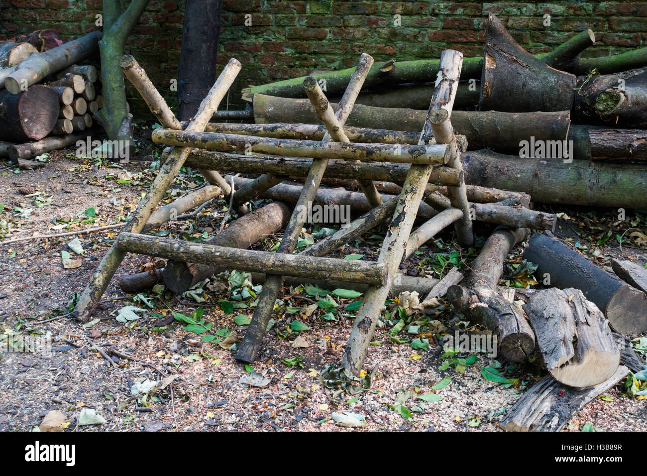 Wooden log 2024 saw horse