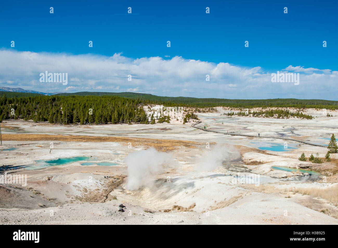 Visitors on boardwalk exploring steaming vents hot pools springs Norris Geyser Basin, Yellowstone National Park, Wyoming, USA. Stock Photo