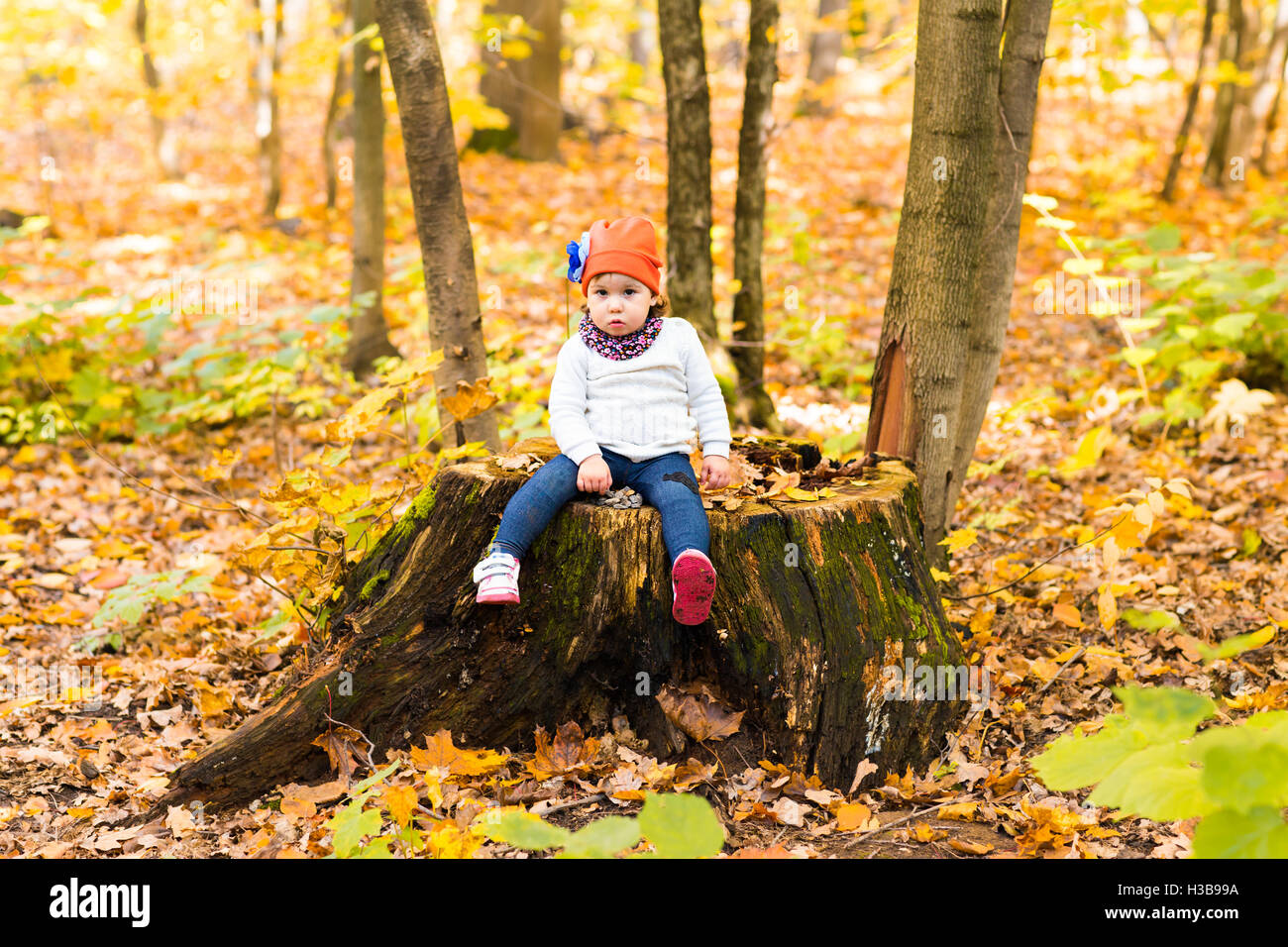 Baby girl sitting on the stump in autumn park outdoor Stock Photo - Alamy