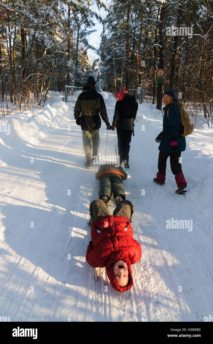 Dresden: Children boys on sled, parents pull the carriage, , Sachsen, Saxony, Germany Stock Photo