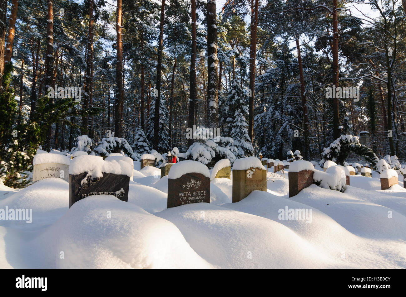 Dresden: Tombs grave stones at the cemetery deep in snow, , Sachsen, Saxony, Germany Stock Photo