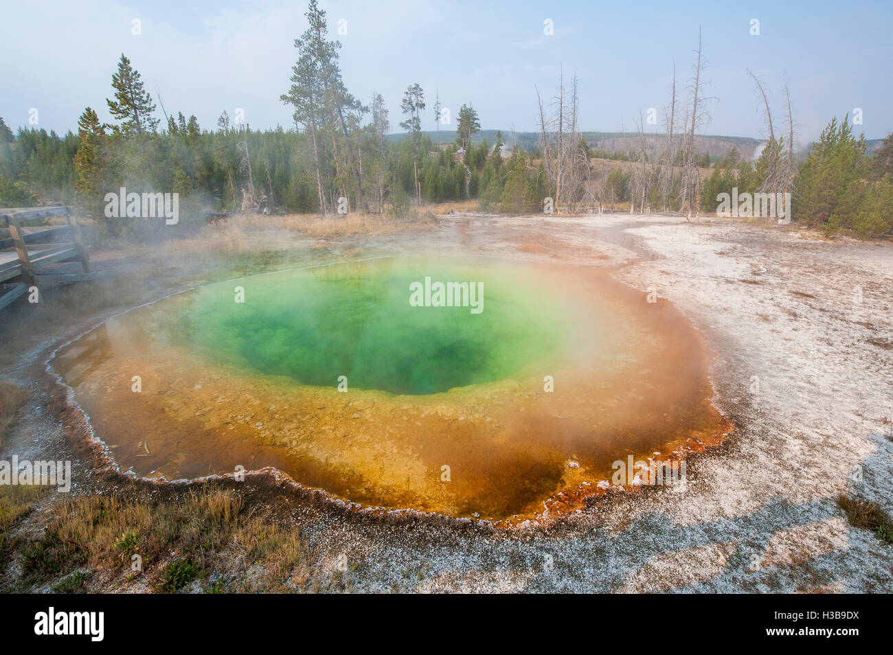 Morning Glory Pool in Upper Geyser Basin Yellowstone National Park, Wyoming, USA. Stock Photo