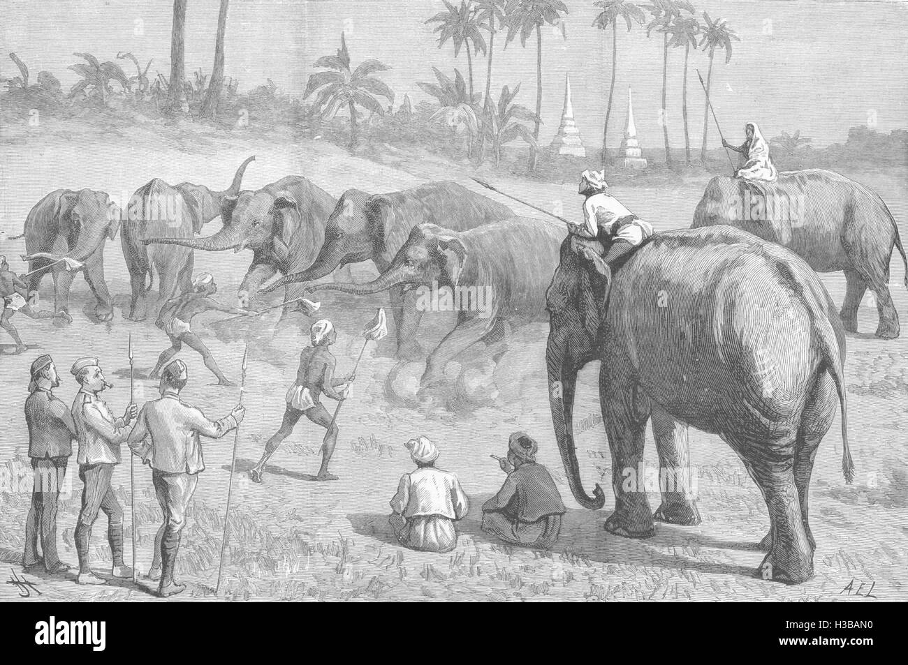 BURMA An Elephant pooay in upper Burma 1887. The Illustrated London ...