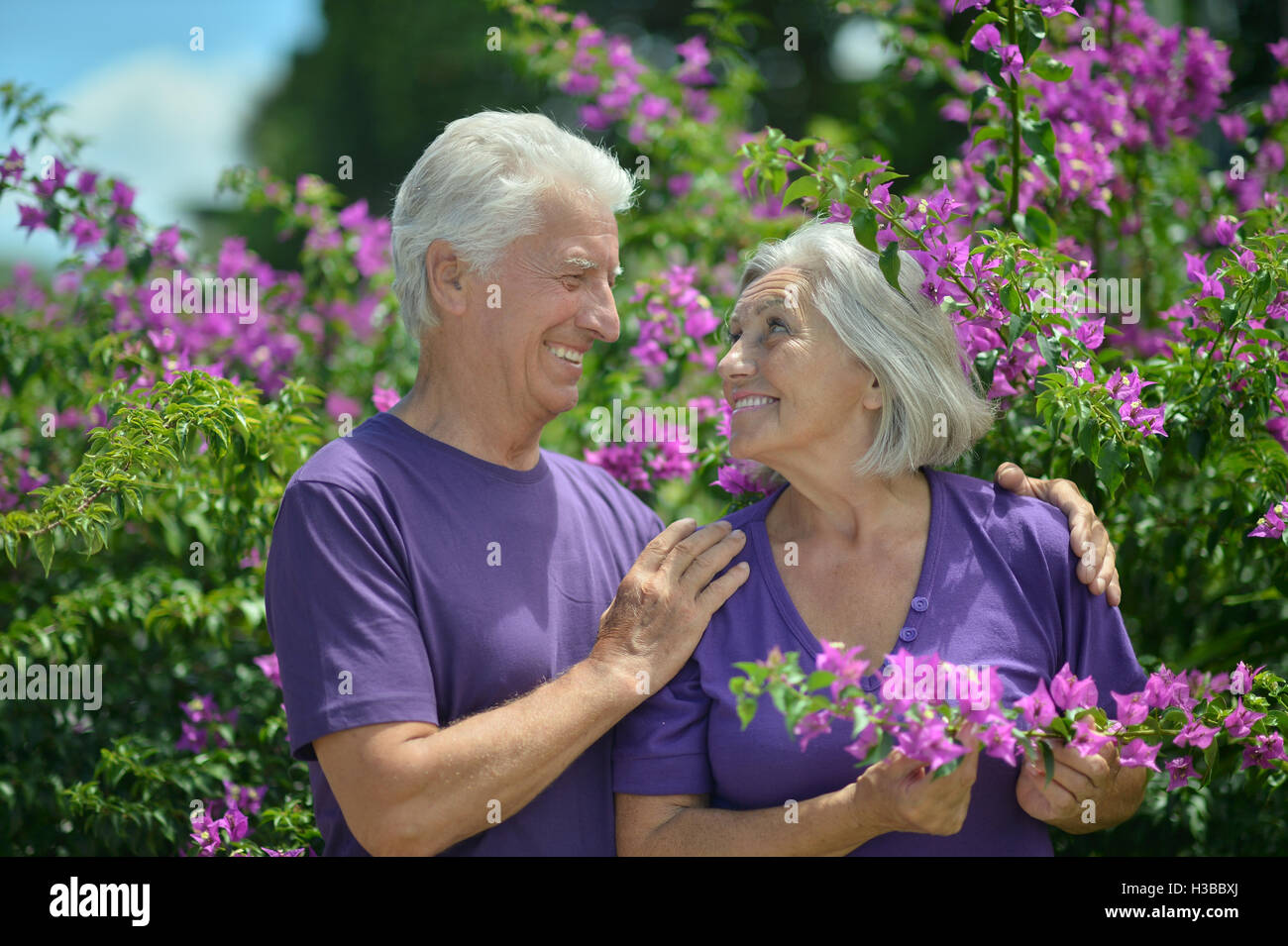 Senior couple in summer park Stock Photo - Alamy