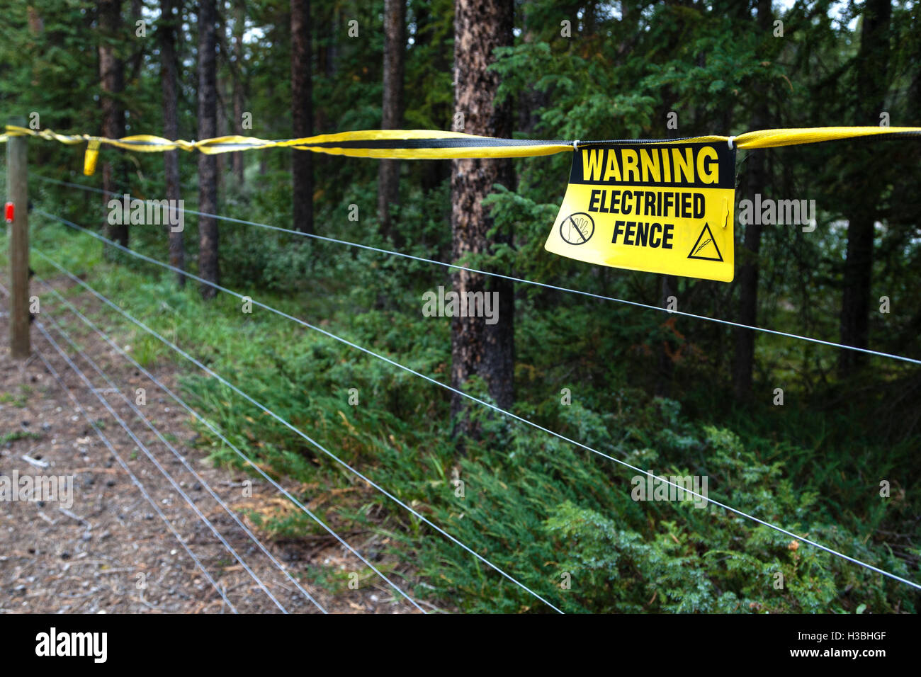 Selective focus on an electrified fence warning sign at a camping site to keep out bears in the wild. Stock Photo