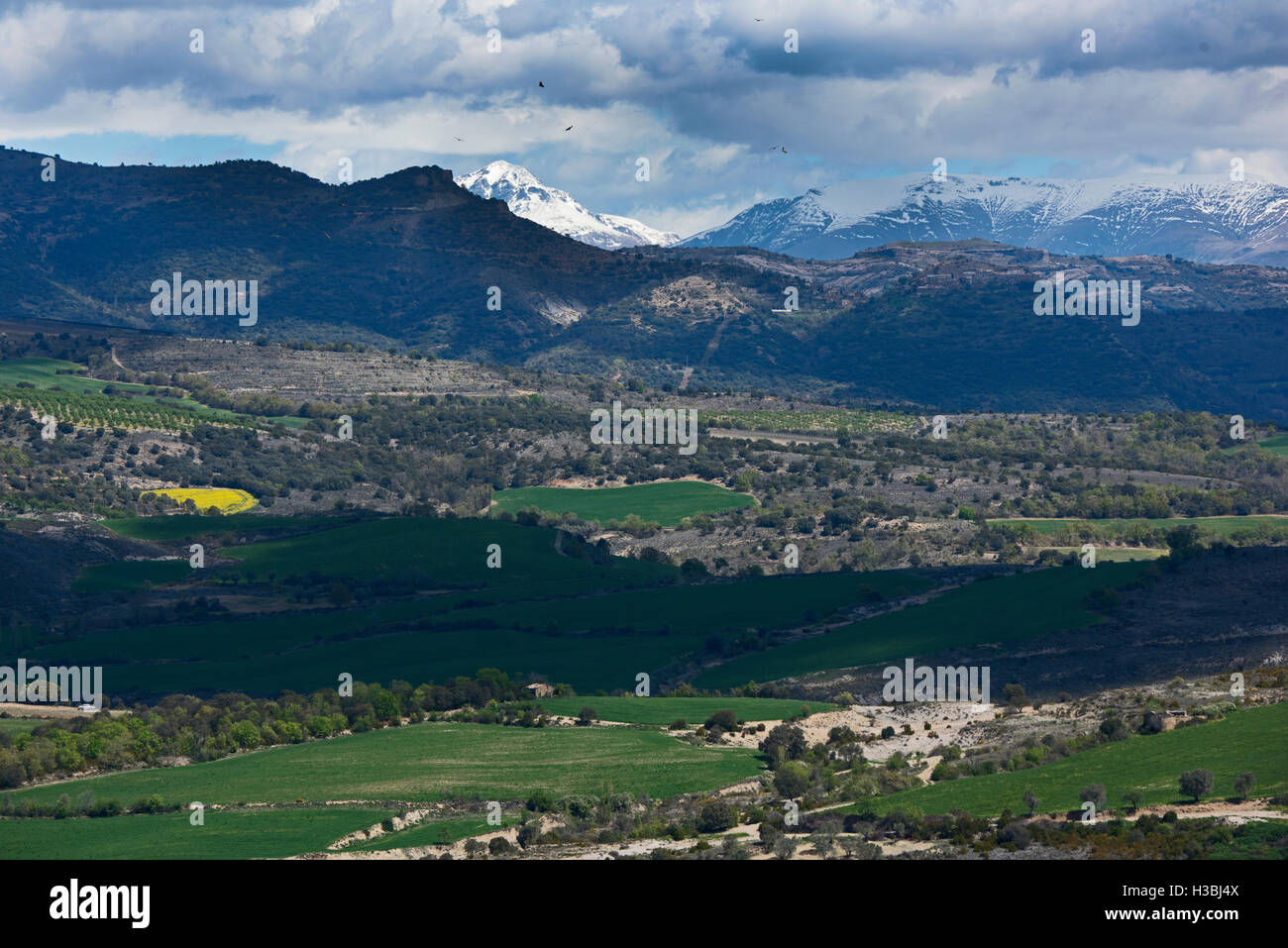 Pyrenenen Pyrenean hi-res stock photography and images - Alamy