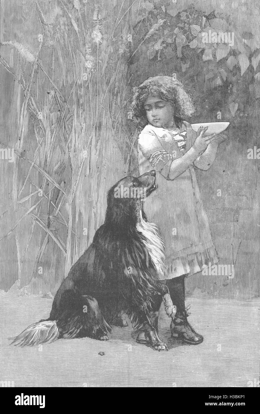 DOGS 'Give me some'. Child with bowl of food teasing dog 1887. The Illustrated London News Stock Photo