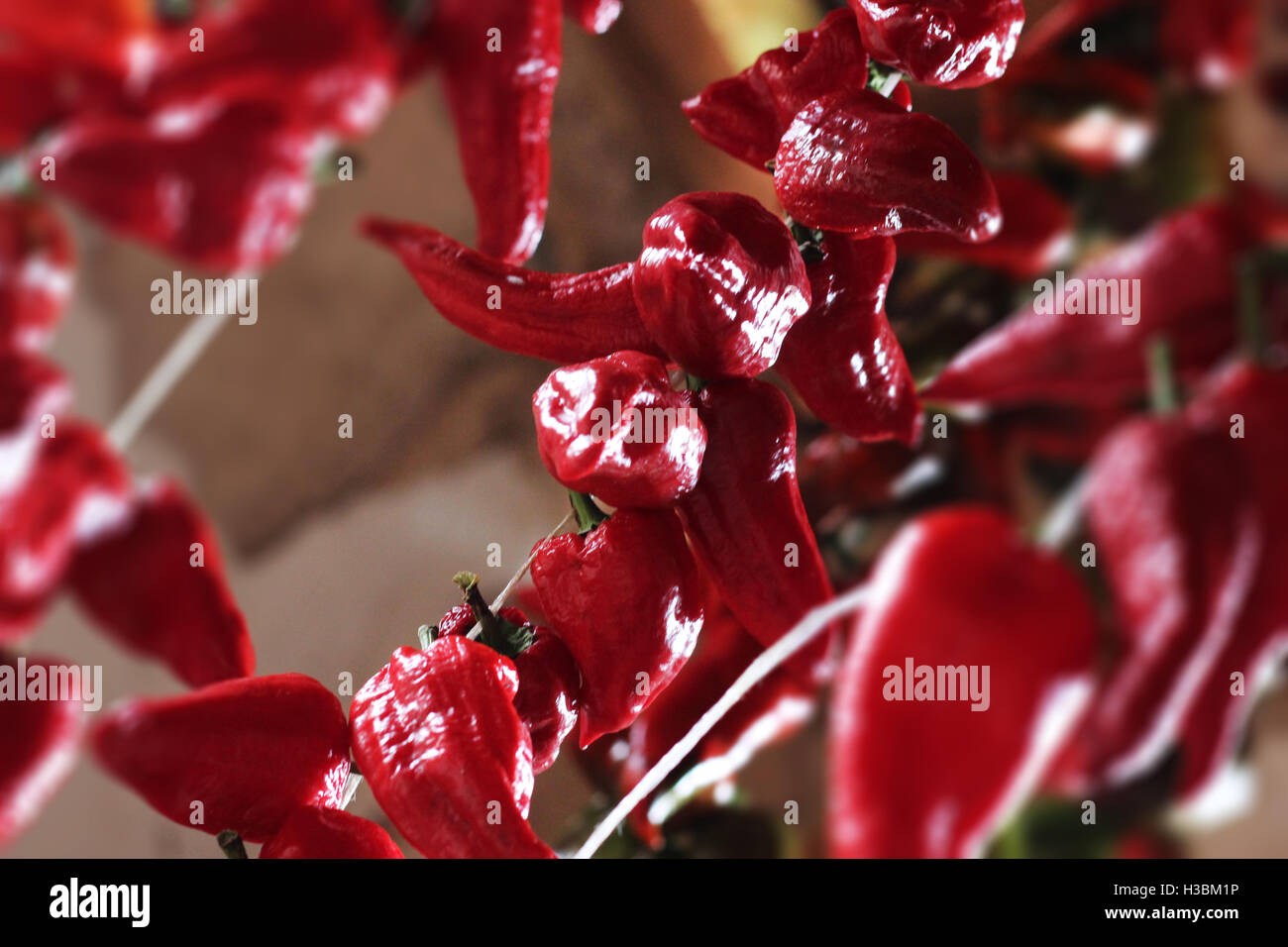 Red Peppers Stock Photo