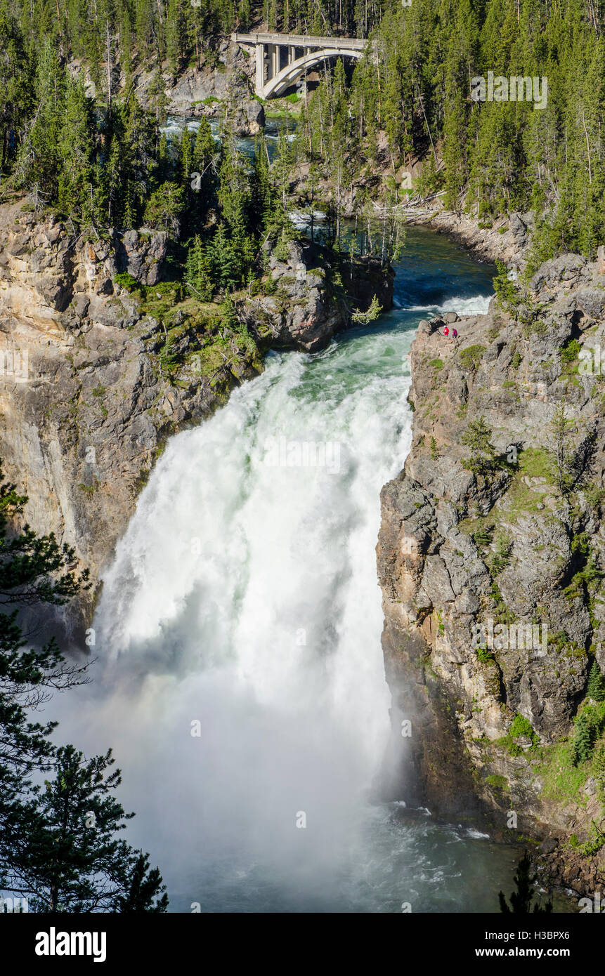 Upper Yellowstone Falls waterfalls Grand Canyon of Yellowstone