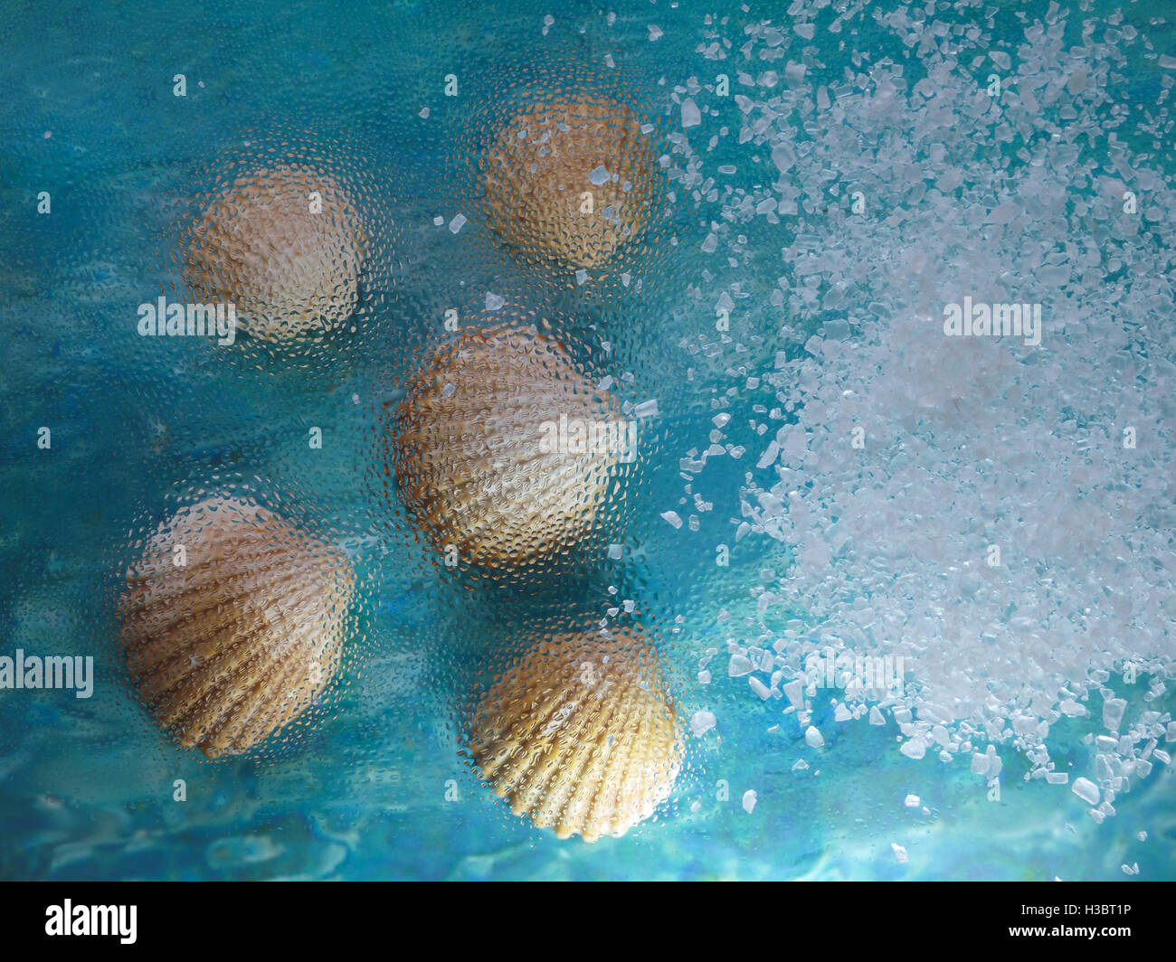 Salt, shells and misted glass Stock Photo