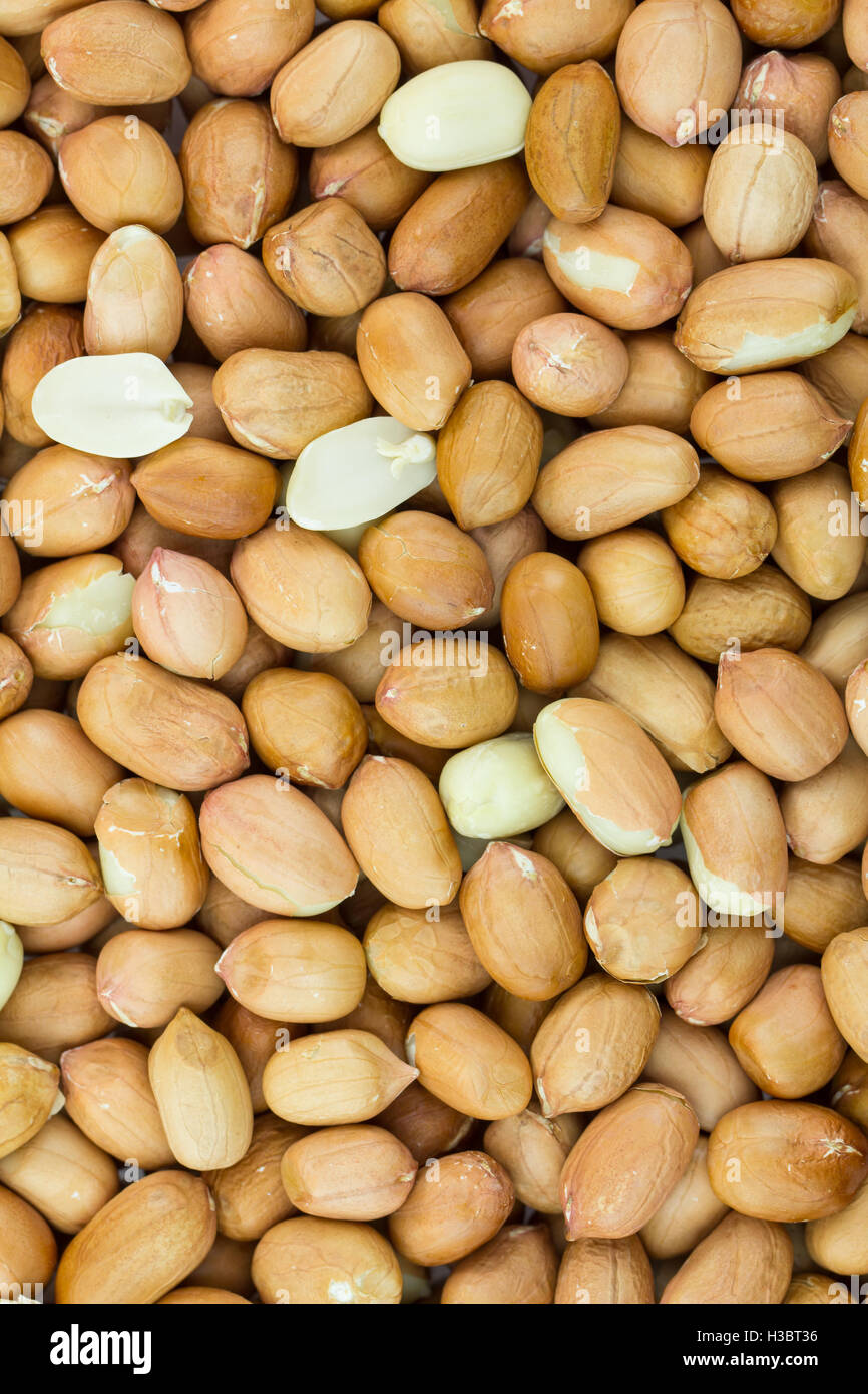 Close up peanut background. Peanuts are a legume, a member of the bean