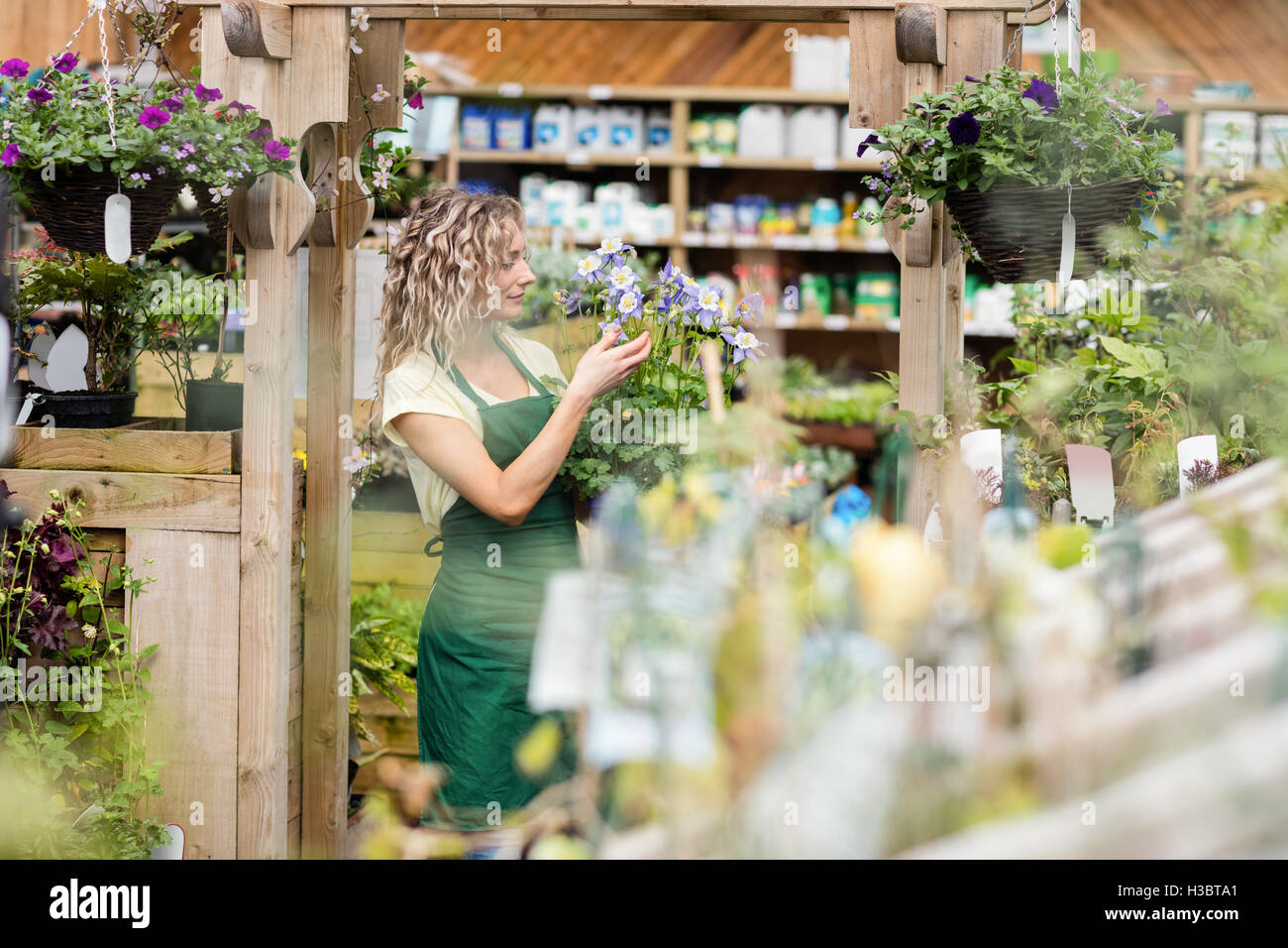 Female florist looking at potted plant Stock Photo