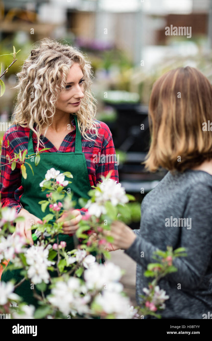 Garden centre worker woman hi-res stock photography and images - Alamy