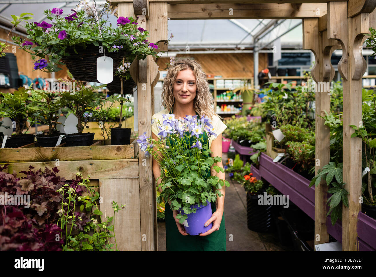 Female florist holding a potted plant Stock Photo - Alamy