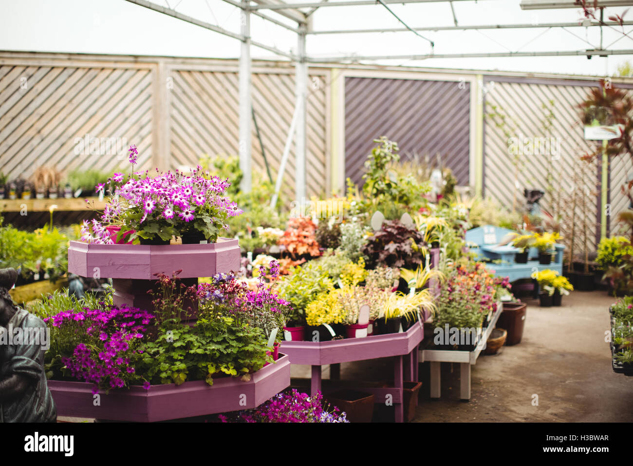 Potted plants and flowers in garden centre Stock Photo - Alamy