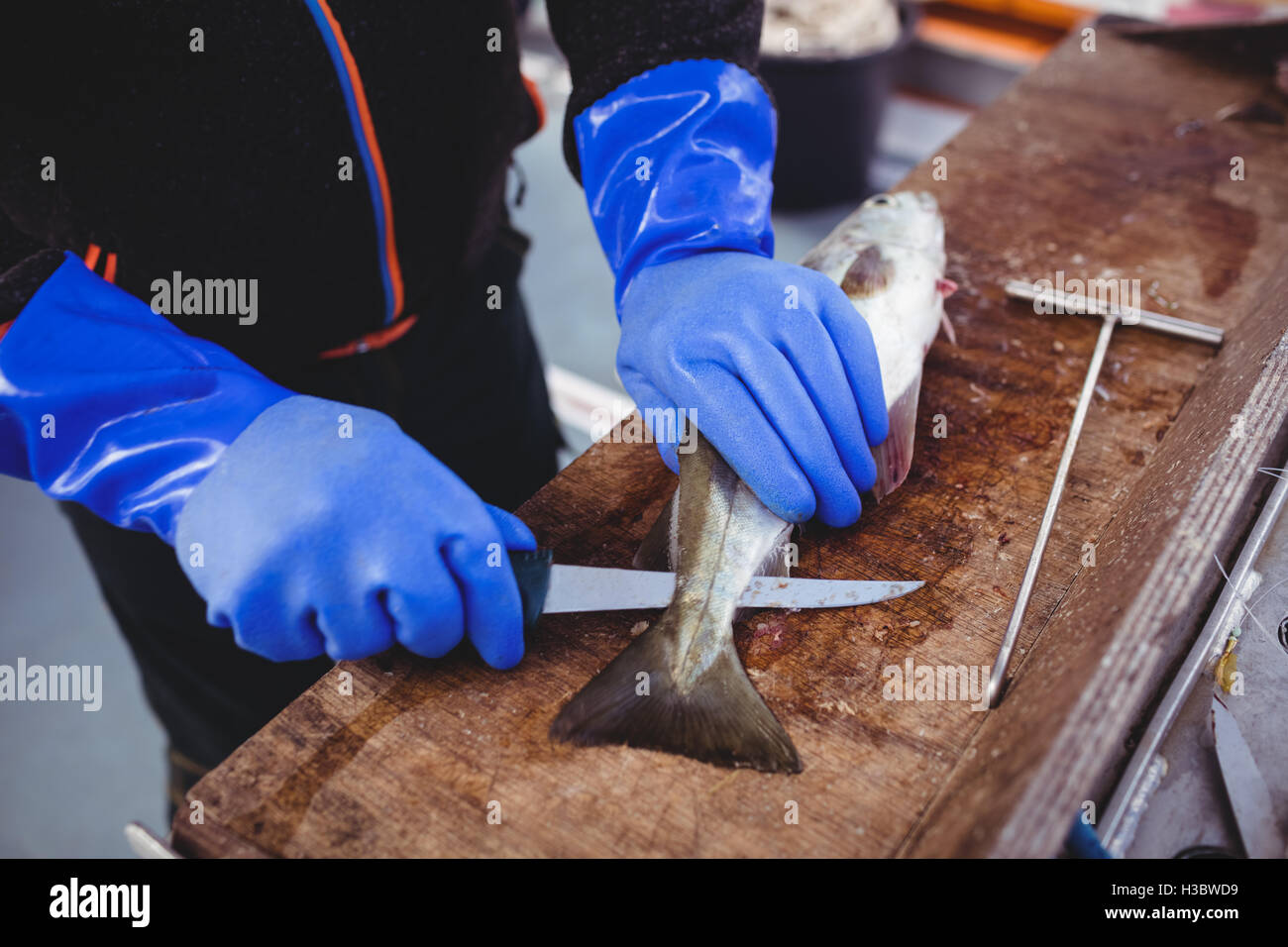 Fisherman filleting fish Stock Photo - Alamy