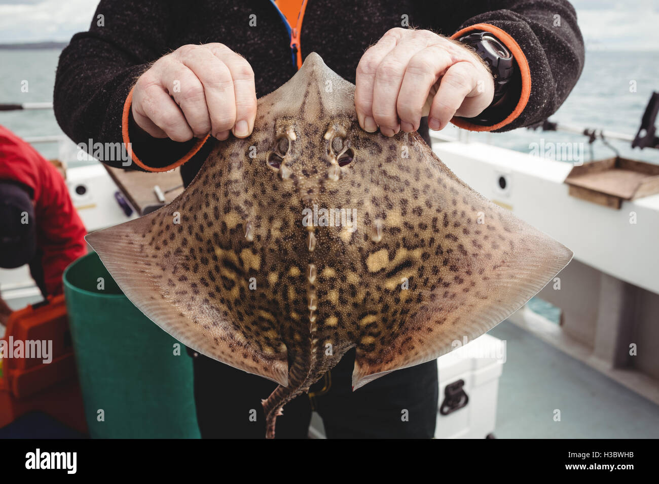 Fisherman holding a ray fish on boat Stock Photo