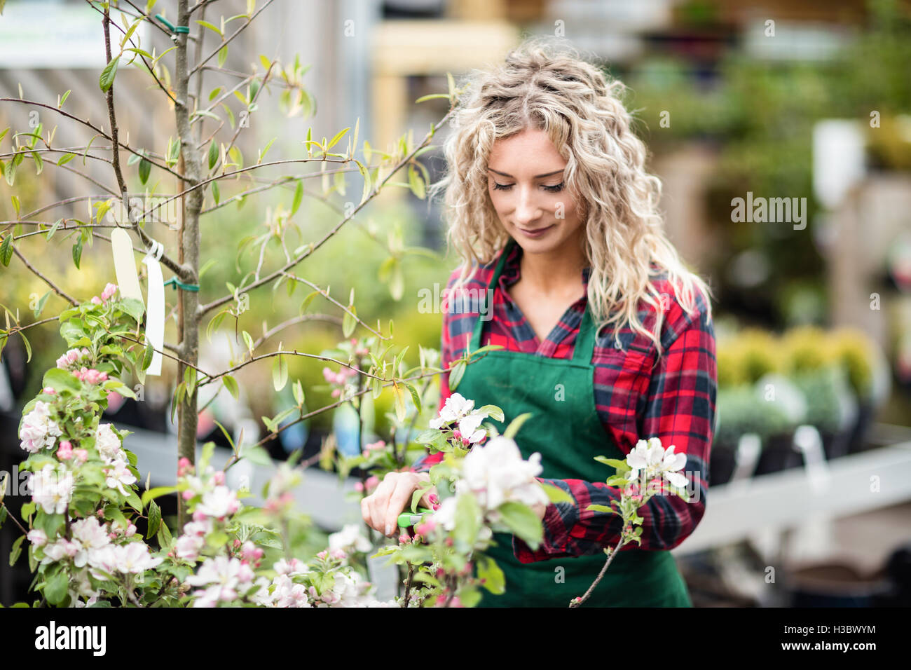 Female florist pruning a stem of flower with pruning shears Stock Photo