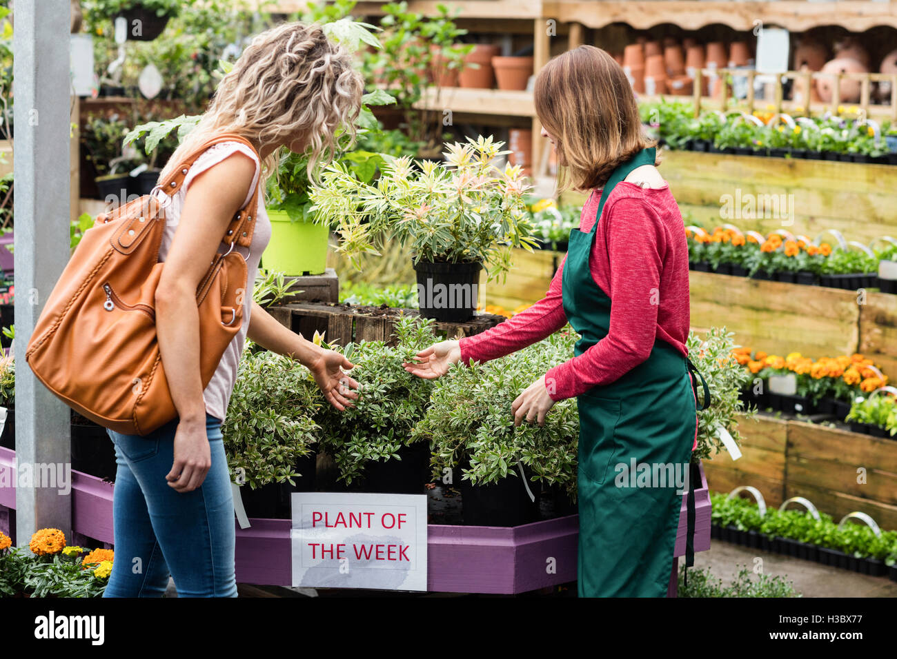 Female florist showing potted plants to woman Stock Photo