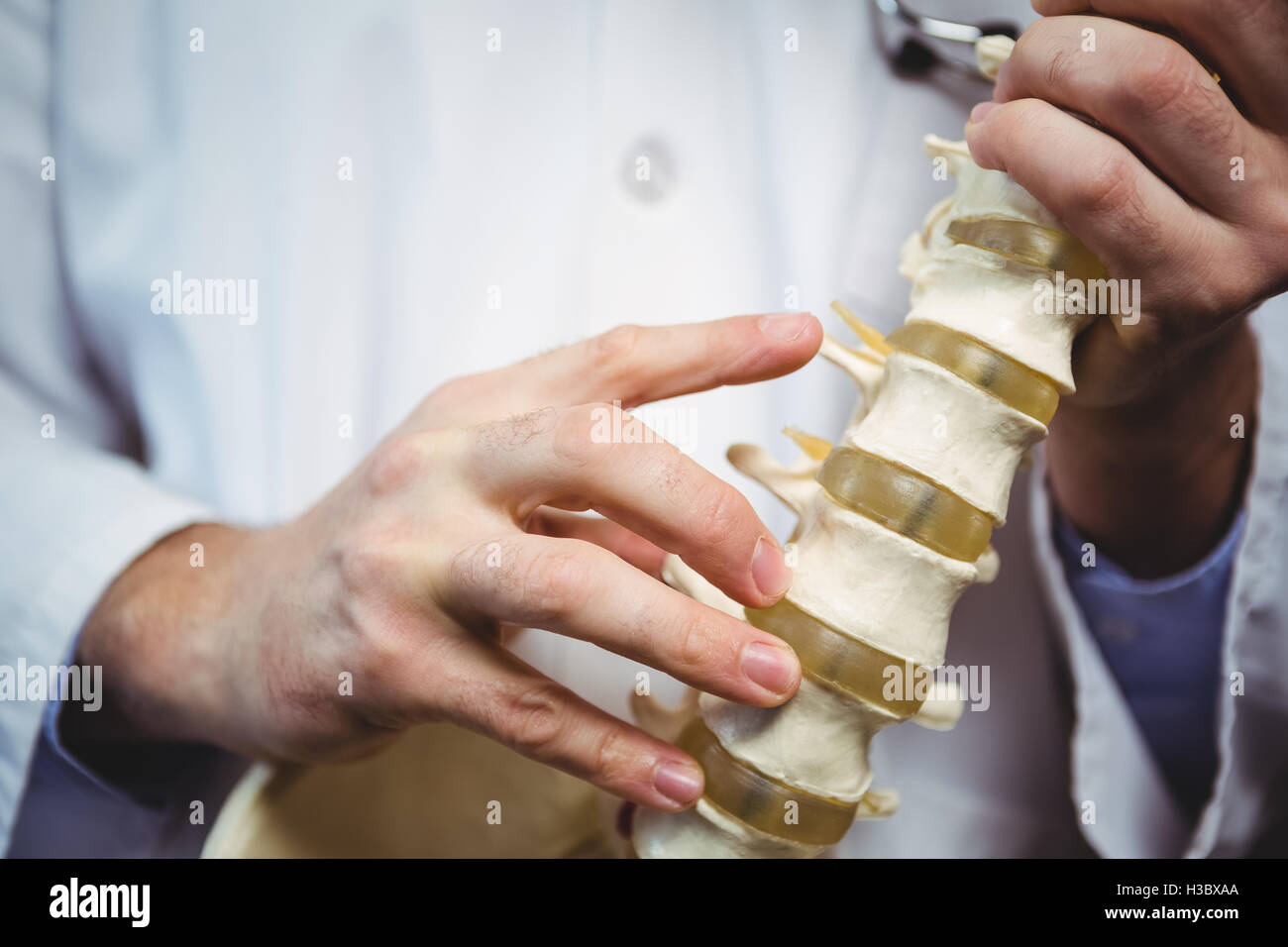 Physiotherapist holding spine model Stock Photo