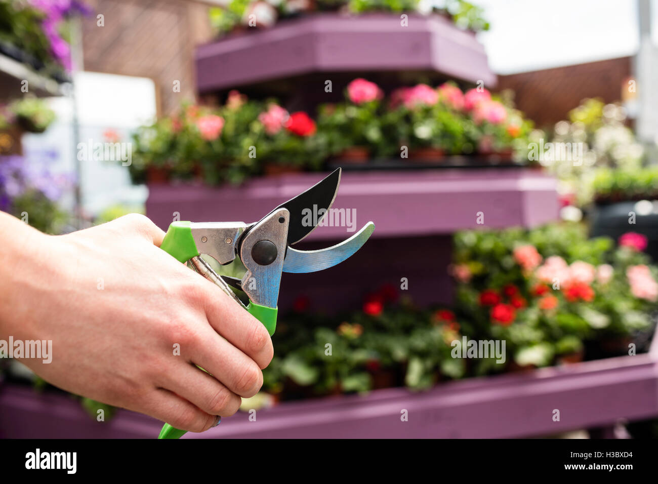Holding garden shears hires stock photography and images Alamy