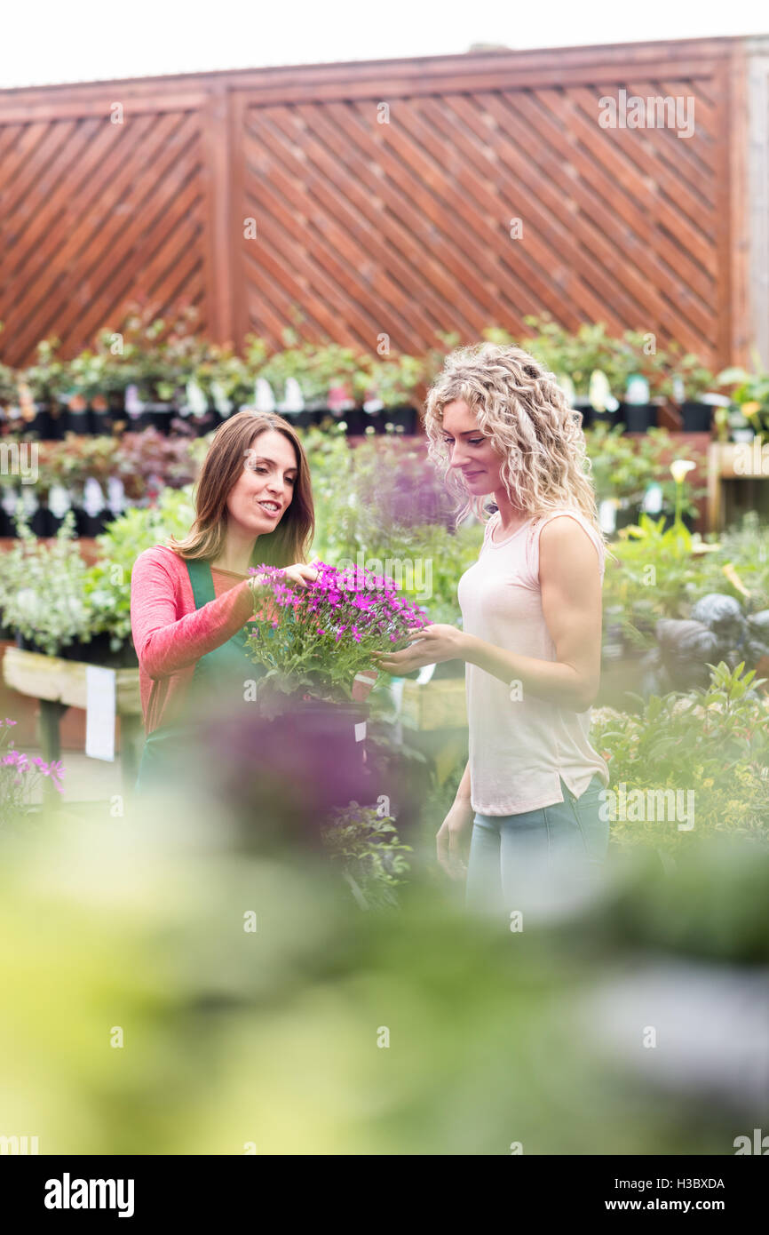 Florist showing flowers to woman Stock Photo