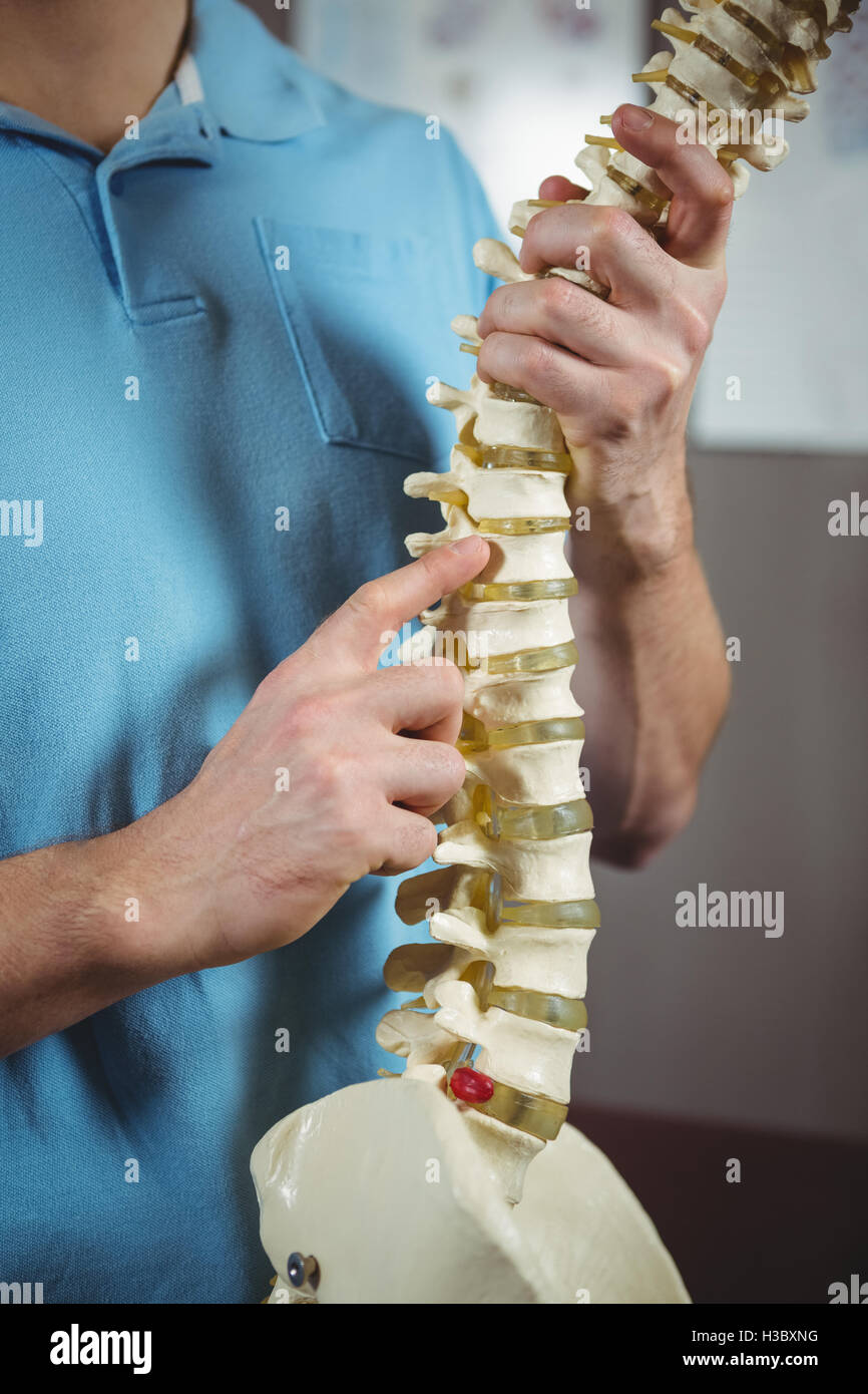 Physiotherapist pointing at spine model Stock Photo