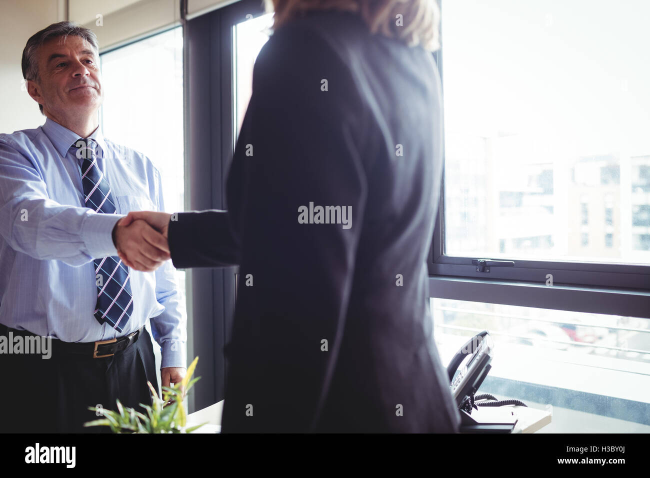 Businesswoman and businesswoman shaking hands Stock Photo