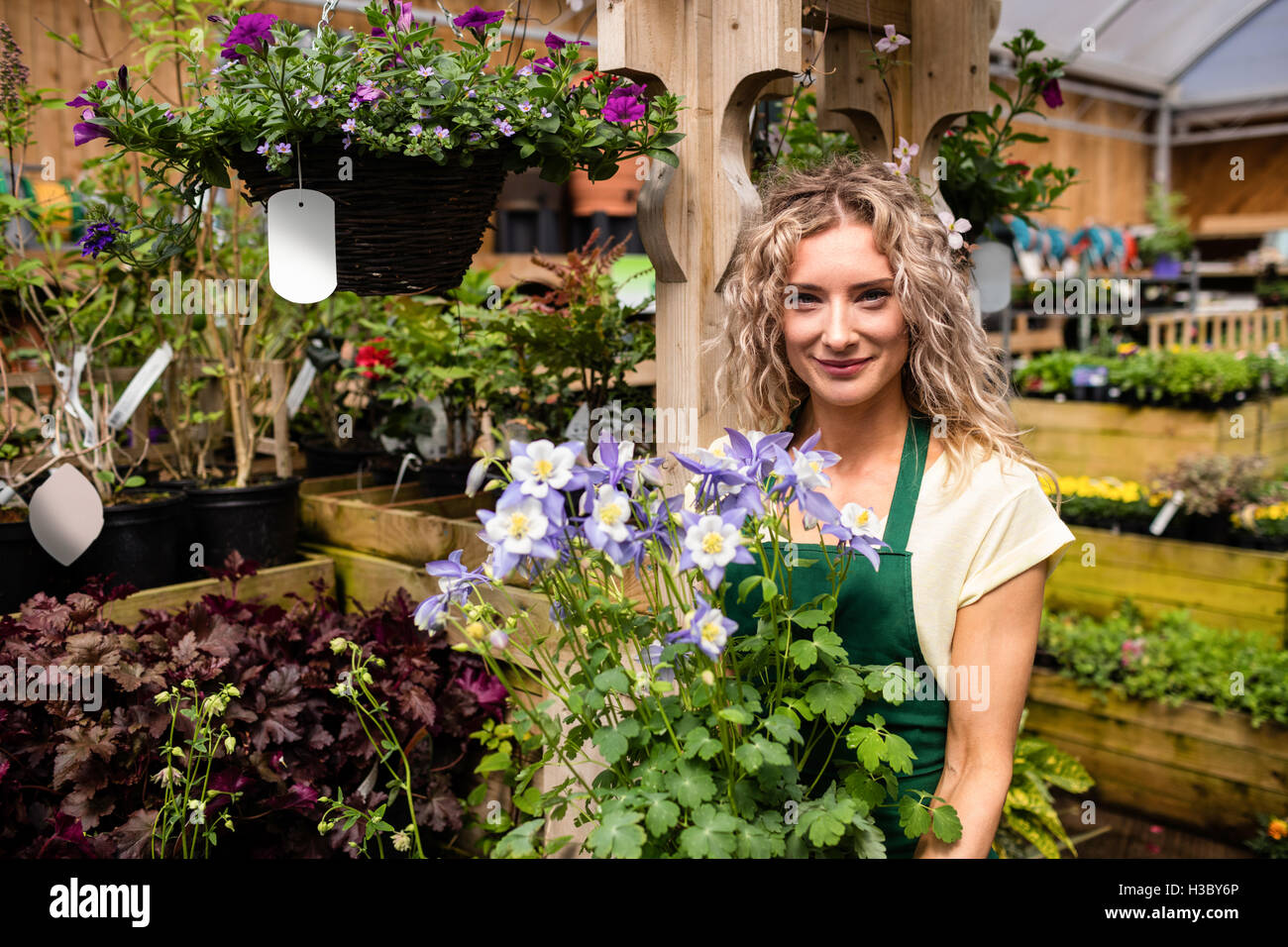 Female florist holding a potted plant Stock Photo - Alamy