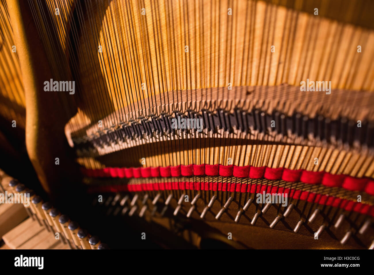 Open piano strings Stock Photo