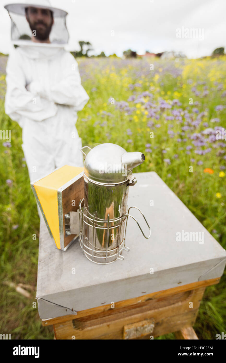 Beekeeper using bee smoker Stock Photo - Alamy