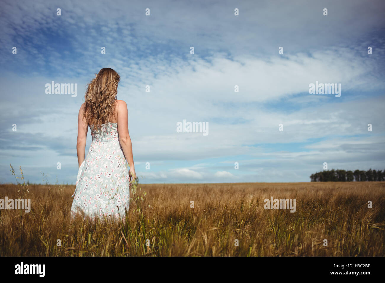 Rear view of woman standing in wheat field Stock Photo - Alamy