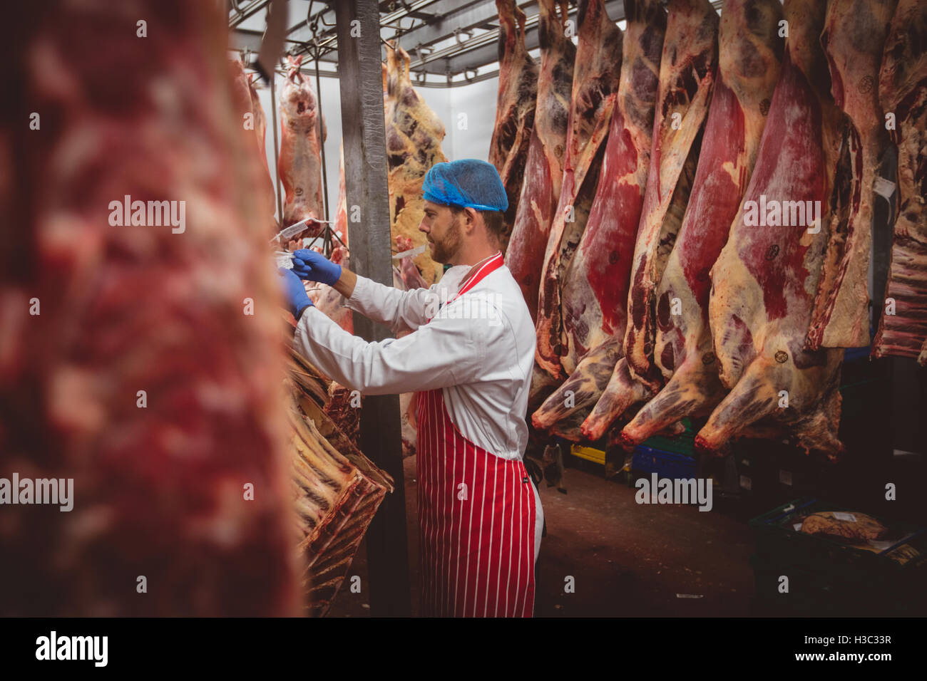 Butcher hanging red meat in storage room Stock Photo - Alamy