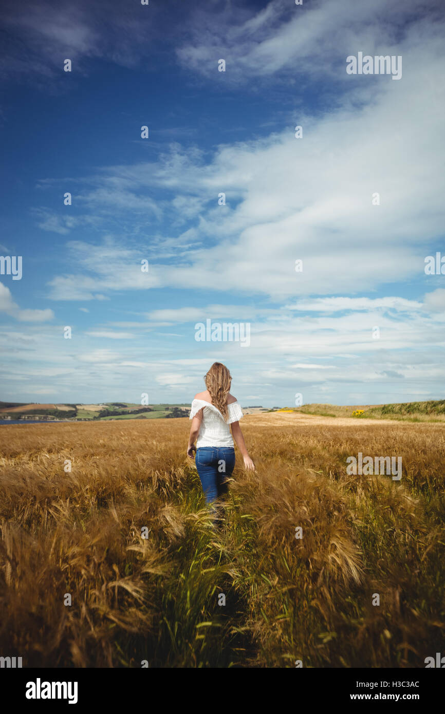 Rear view of woman walking through wheat field Stock Photo - Alamy