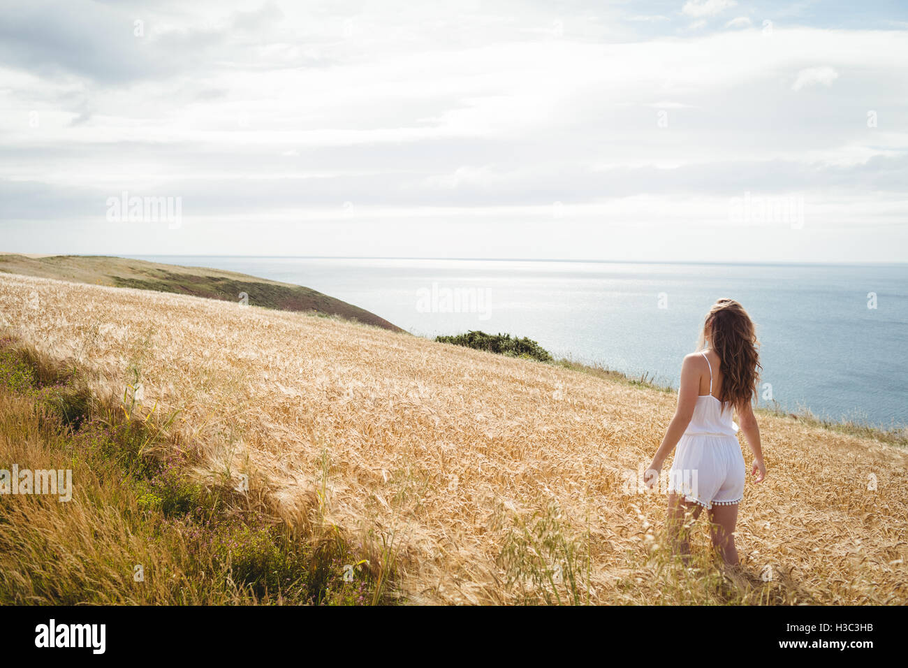 Rear view of woman standing in wheat field Stock Photo - Alamy