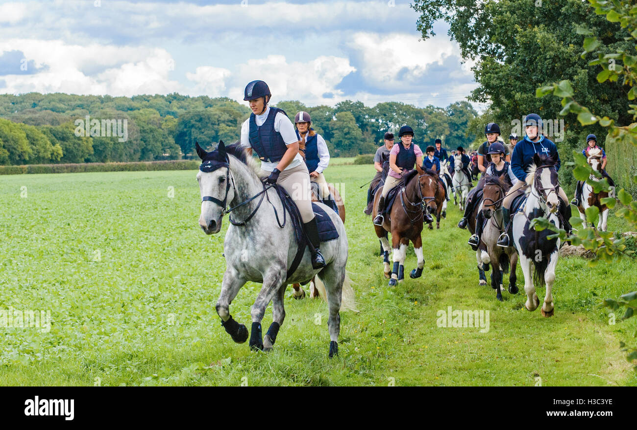 Group of horse riders on a field riding along the edge of a farmers field Stock Photo