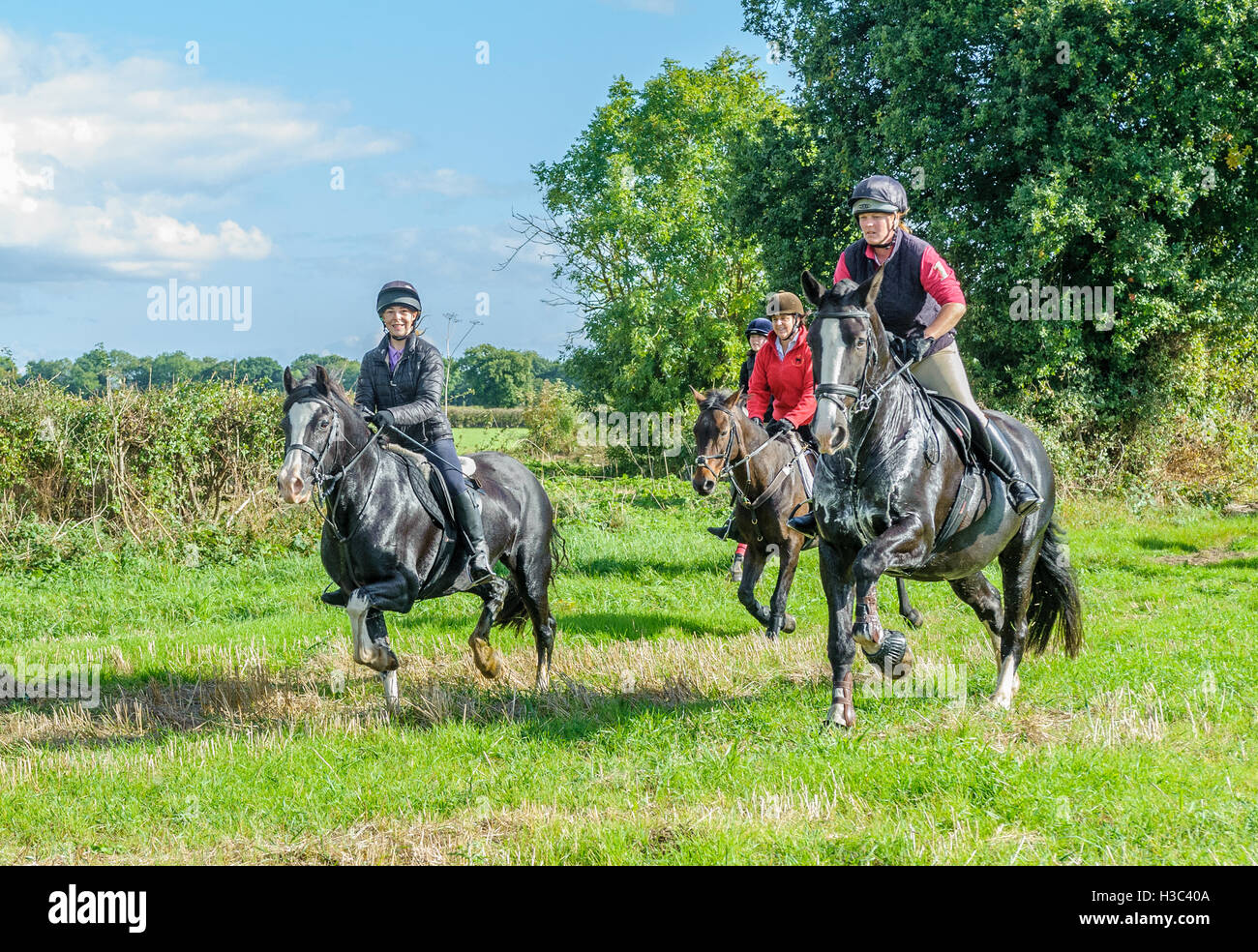 Riders on a horses galloping at speed along a field in autumn sunshine Stock Photo